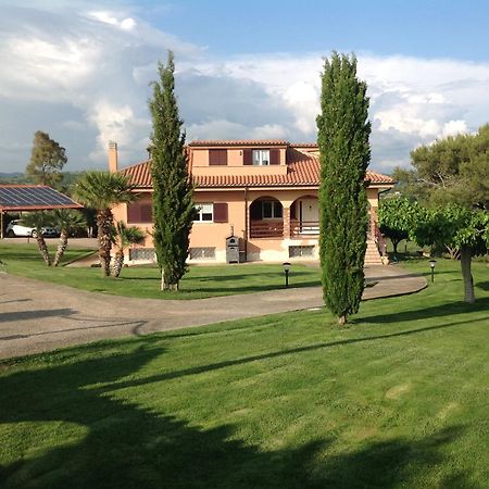 Bed & Breakfast La Volpe E L'Uva Santa Marinella Zewnętrze zdjęcie