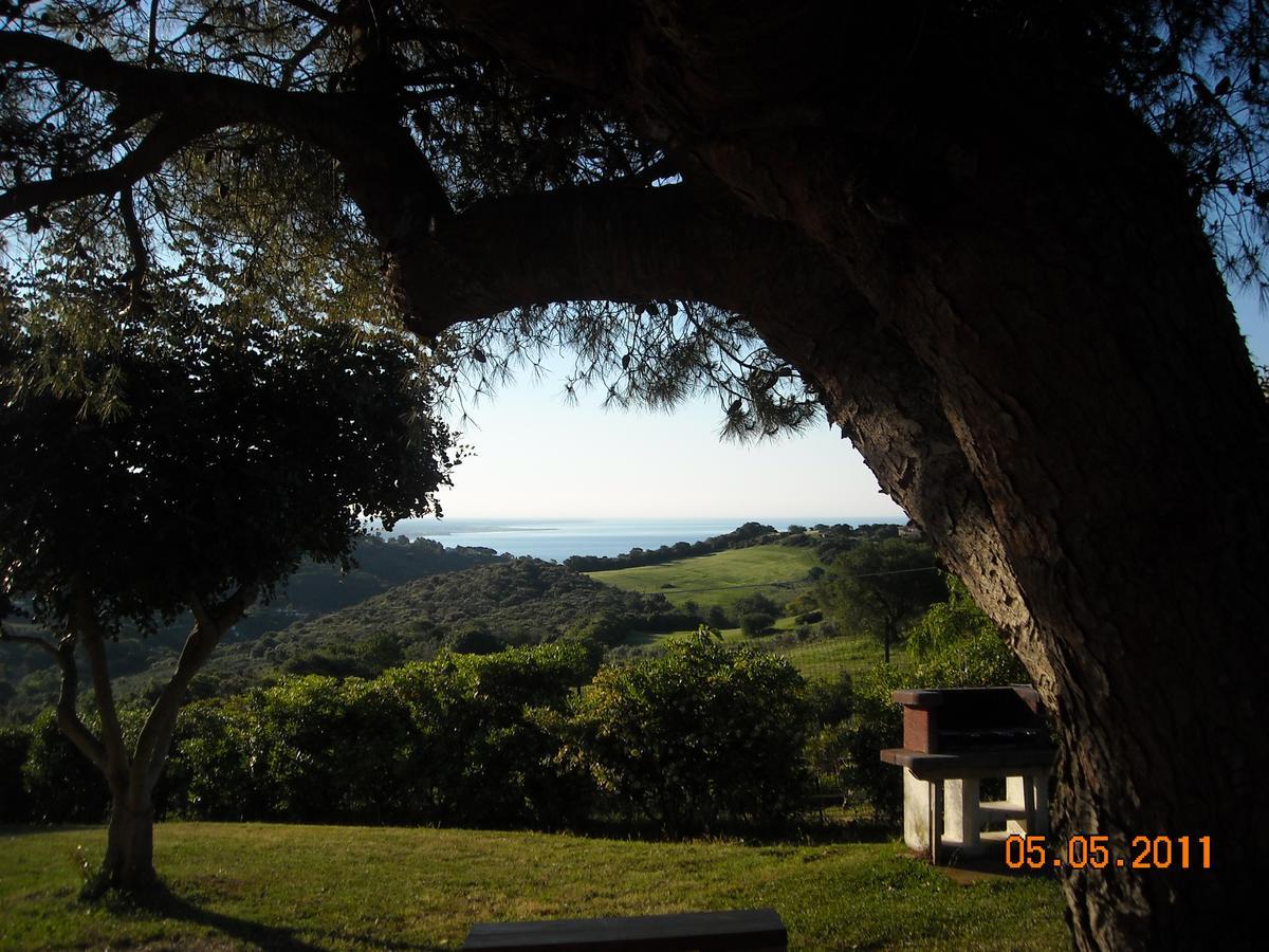 Bed & Breakfast La Volpe E L'Uva Santa Marinella Zewnętrze zdjęcie