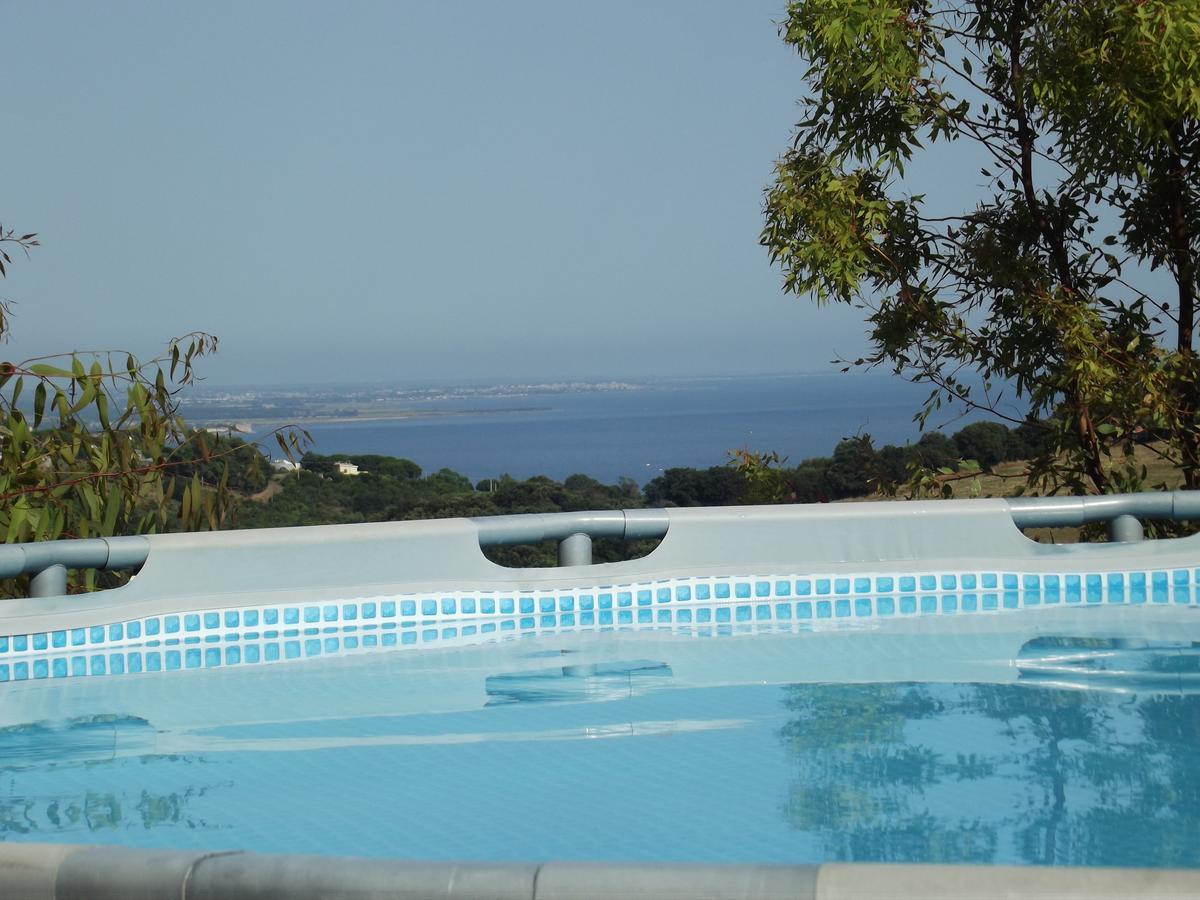 Bed & Breakfast La Volpe E L'Uva Santa Marinella Zewnętrze zdjęcie