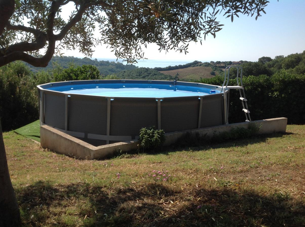 Bed & Breakfast La Volpe E L'Uva Santa Marinella Zewnętrze zdjęcie